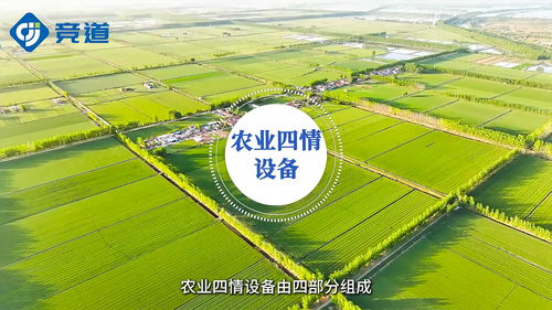 搜了視頻 產品視頻 b2b視頻 供應視頻